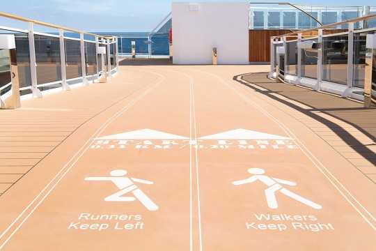 MSC Cruises MSC Euribia(کابین داخلی)